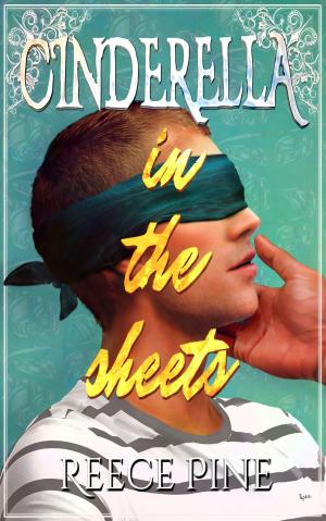 Cover of the book Cinderella in the Sheets by Riley Stanford Jr