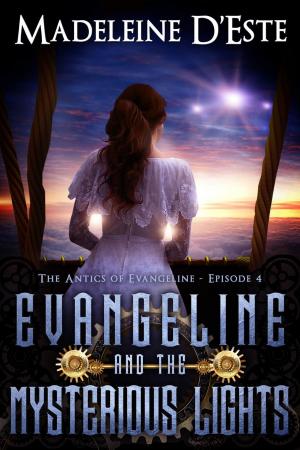 Cover of the book Evangeline and the Mysterious Lights by S.R. PELTIER