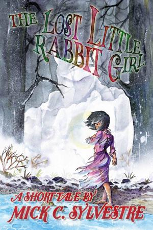 Book cover of The Lost Little Rabbit Girl