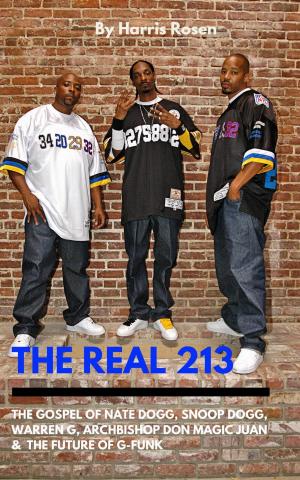 Cover of the book The Real 213 by Laremy Legel
