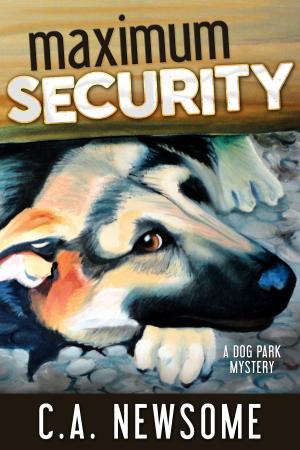 Cover of the book Maximum Security by Linda Crowder