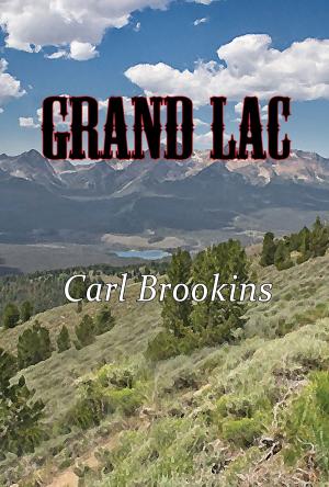 Cover of the book Grand Lac by CD Wilsher