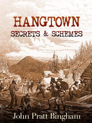 Book cover of Hangtown: Secrets & Schemes