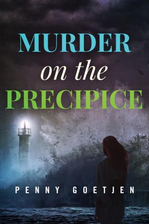 Cover of the book Murder on the Precipice by K.B. Spangler