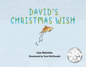 Cover of the book David's Christmas Wish by Linda Mahkovec