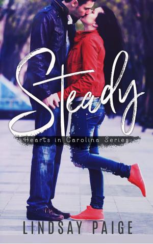 Cover of the book Steady by A. I. Cudil