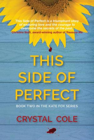 Cover of the book This Side of Perfect by Savanna Grey