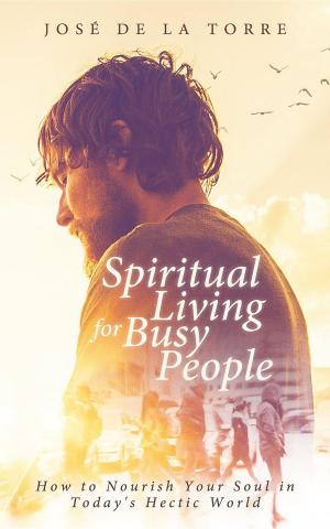 Cover of the book Spiritual Living for Busy People by Eugène Sue