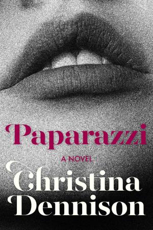 Cover of the book Paparazzi by Heather Elizabeth King
