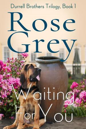 Cover of the book Waiting For You by Michele Lee