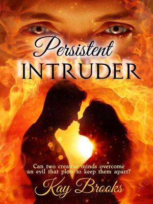 Book cover of Persistent Intruder