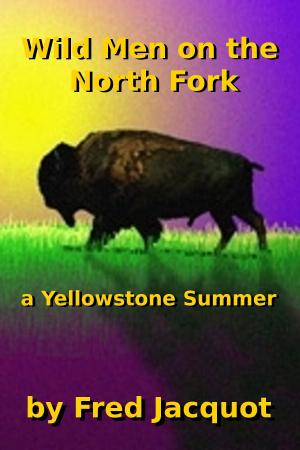 Cover of the book Wild Men on the North Fork by Terri Osborne