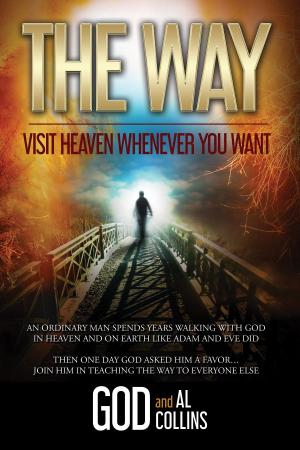Cover of the book The Way by H. Pepwell