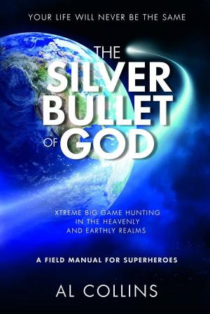 Cover of the book The Silver Bullet of God by MidKnight Angel