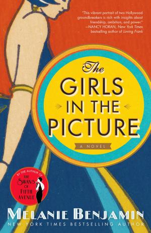 Cover of the book The Girls in the Picture by Jorey Hurley
