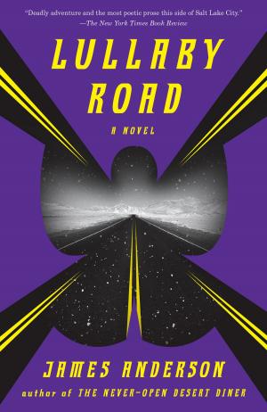 Book cover of Lullaby Road