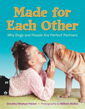 Cover of the book Made for Each Other: Why Dogs and People Are Perfect Partners by The Princeton Review