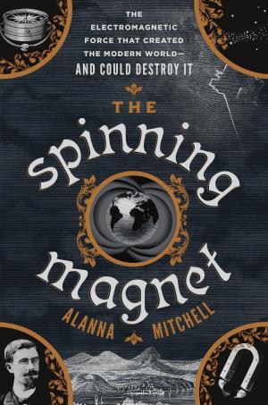 Cover of the book The Spinning Magnet by George Estreich