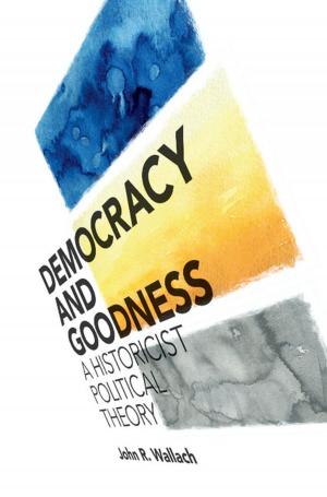 Cover of the book Democracy and Goodness by Thomas Schuttenhelm