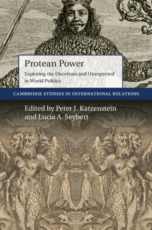 Cover of the book Protean Power by Manu Paranjape