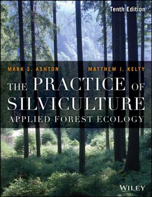 Cover of the book The Practice of Silviculture by Jeff Grout, Liz Fisher