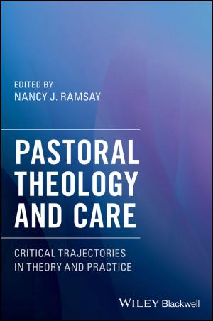 Cover of the book Pastoral Theology and Care by Birgit Nitzsche, Karsten Rose