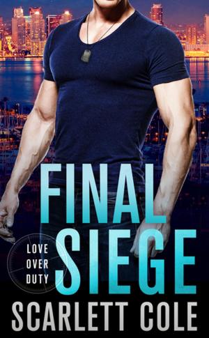 Cover of the book Final Siege by Hannah Steenbock