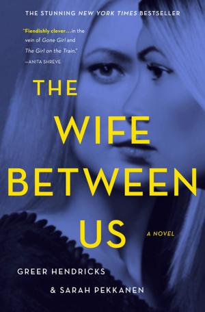 Cover of the book The Wife Between Us by Farley Katz