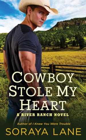 Cover of the book Cowboy Stole My Heart by Bruce Lourie, Rick Smith