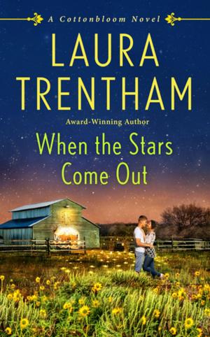 Cover of the book When the Stars Come Out by Kat Martin