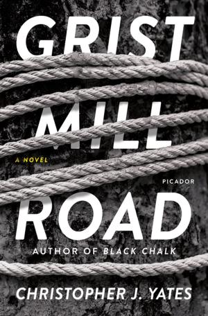 Cover of the book Grist Mill Road by David Lough