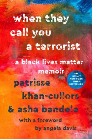 Cover of the book When They Call You a Terrorist by Sue Frederick