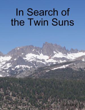 Cover of the book In Search of the Twin Suns by M.R. Cady