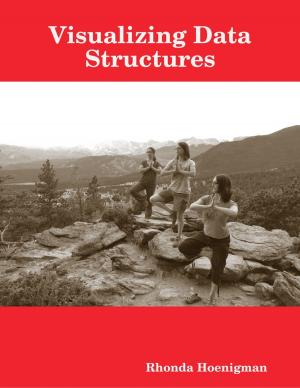 bigCover of the book Visualizing Data Structures by 