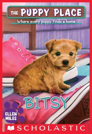 Cover of the book Bitsy (The Puppy Place #48) by Joyce Wan