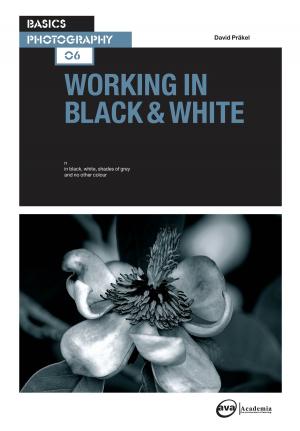 Cover of Basics Photography 06: Working in Black & White