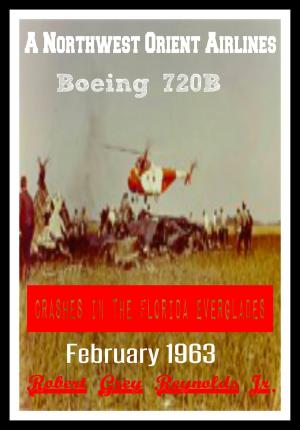 bigCover of the book A Northwest Orient Airlines Boeing 720B Crashes In The Florida Everglades February 1963 by 