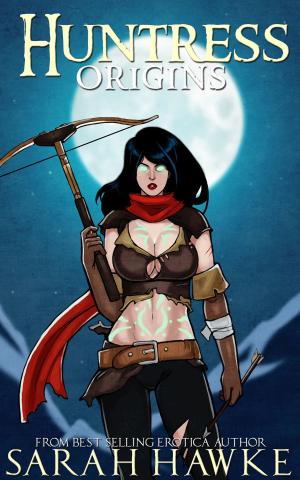 bigCover of the book Huntress: Origins by 