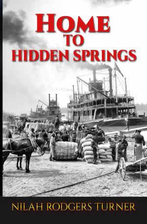 Cover of the book Home to Hidden Springs by Margaret MacMillan