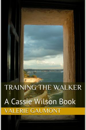Cover of the book Training The Walker by Valerie Gaumont