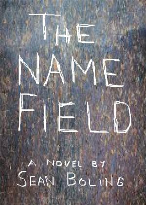 Cover of the book The Name Field by Teresa Angelico