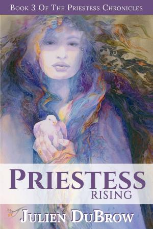 Book cover of Priestess Rising