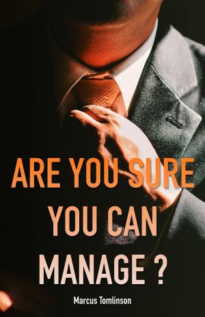 Cover of the book Are You Sure You Can Manage?: Software Engineering Management from the Software Engineers' Perspective by Renato Mite