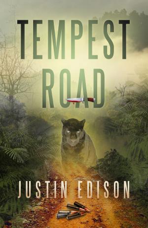 Cover of the book Tempest Road by Kat Irwin