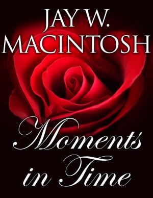 Cover of the book Moments In Time by CJ Shipley