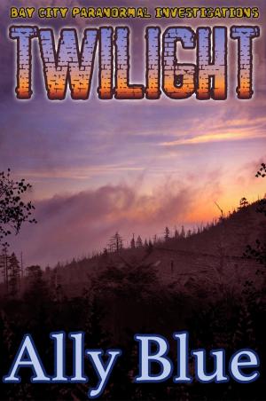 Cover of the book Twilight (Bay City Paranormal Investigations book 3) by Dave Freer