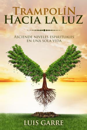 Cover of the book Trampolín hacia la luz by Andrea Di Lauro