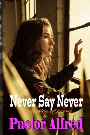 Cover of the book Never Say Never: A Collection Of Poems by Georgia Tell