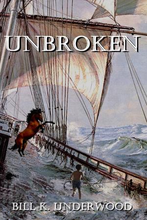 Cover of the book Unbroken by Allison Rain