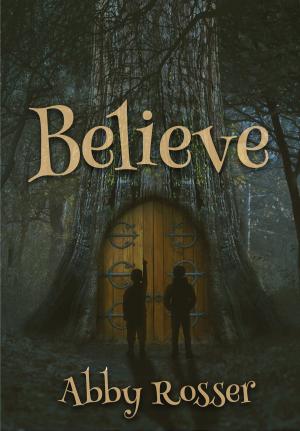 Cover of the book Believe by Steve Grossman